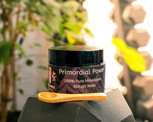 Ancient Wisdom Modern Life