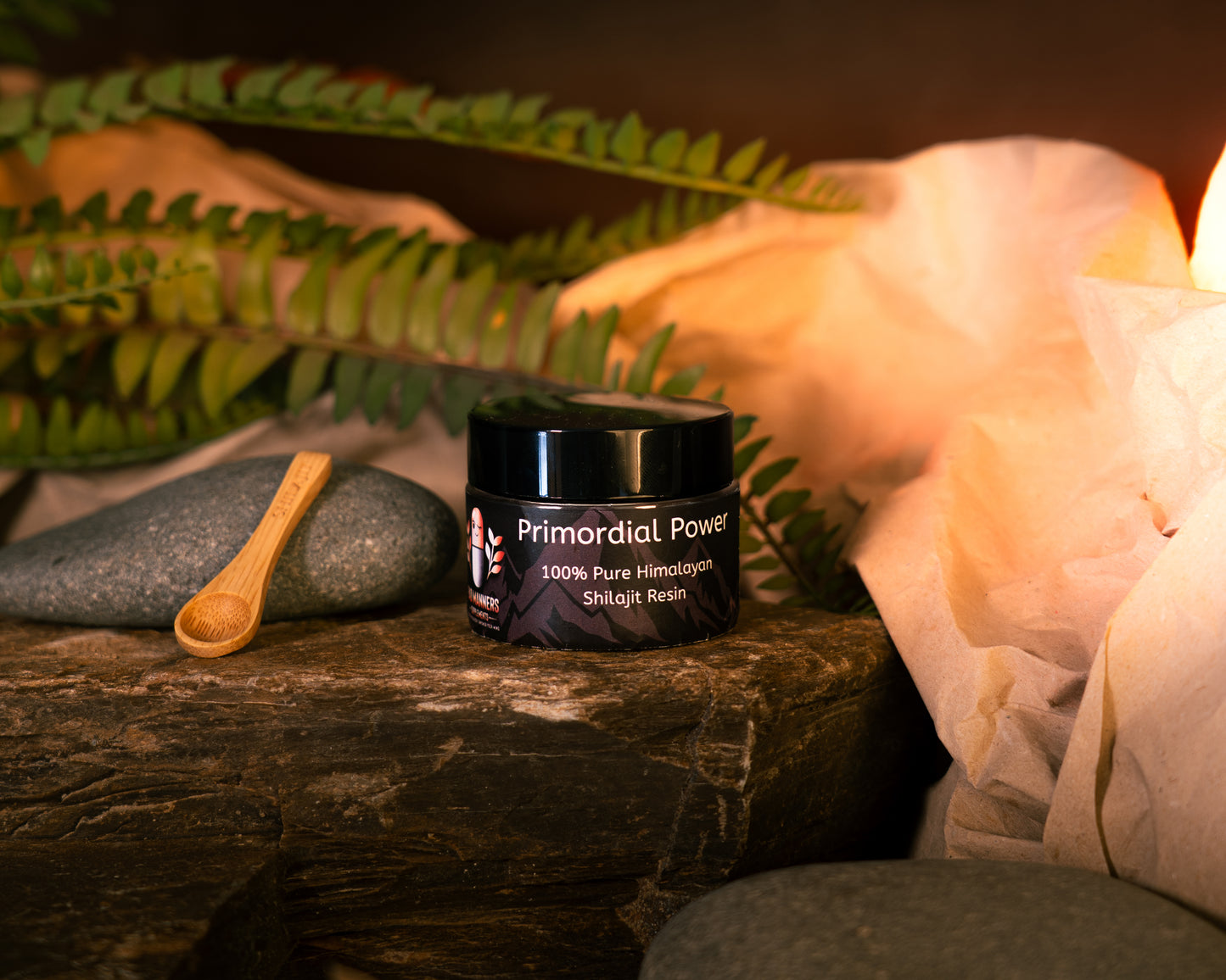 Primordial Power - Pure Shilajit Resin 30g